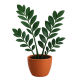 Indoor Low-Light Plant